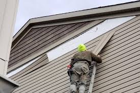 Custom Trim and Detailing for Siding in Tuntutuliak, AK